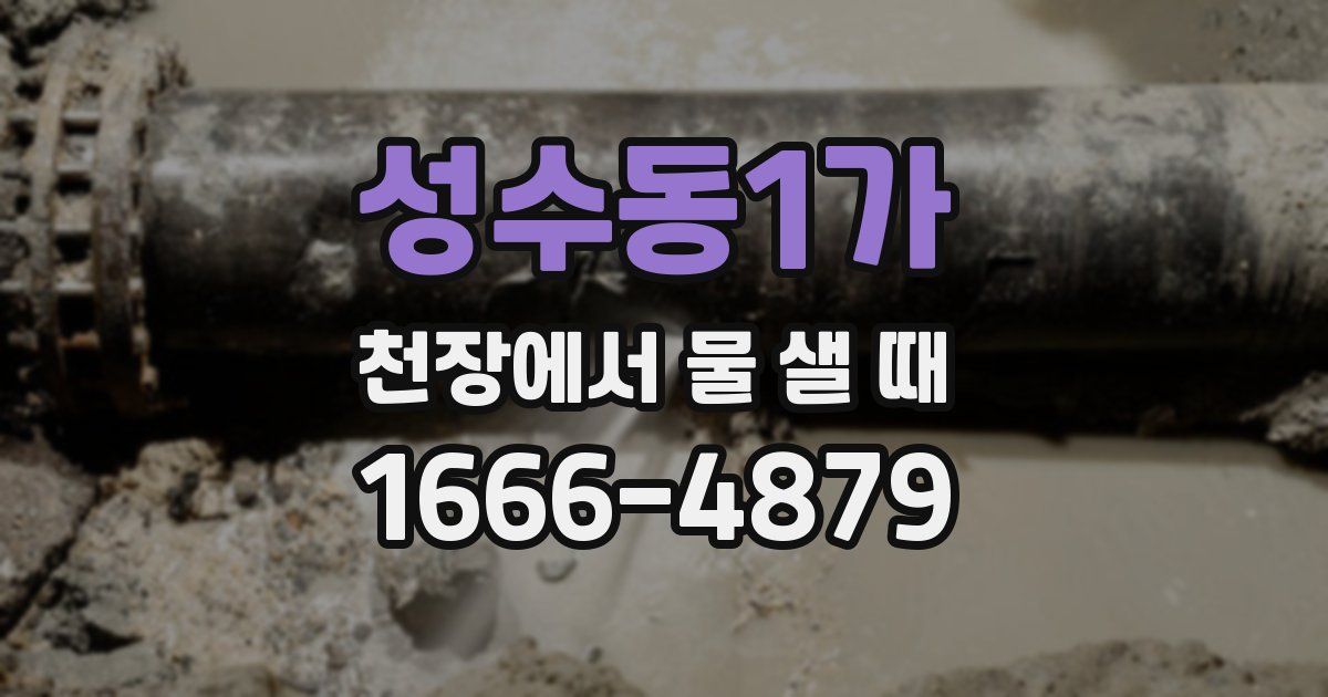 성수동1가 천장에서 물 샐 때