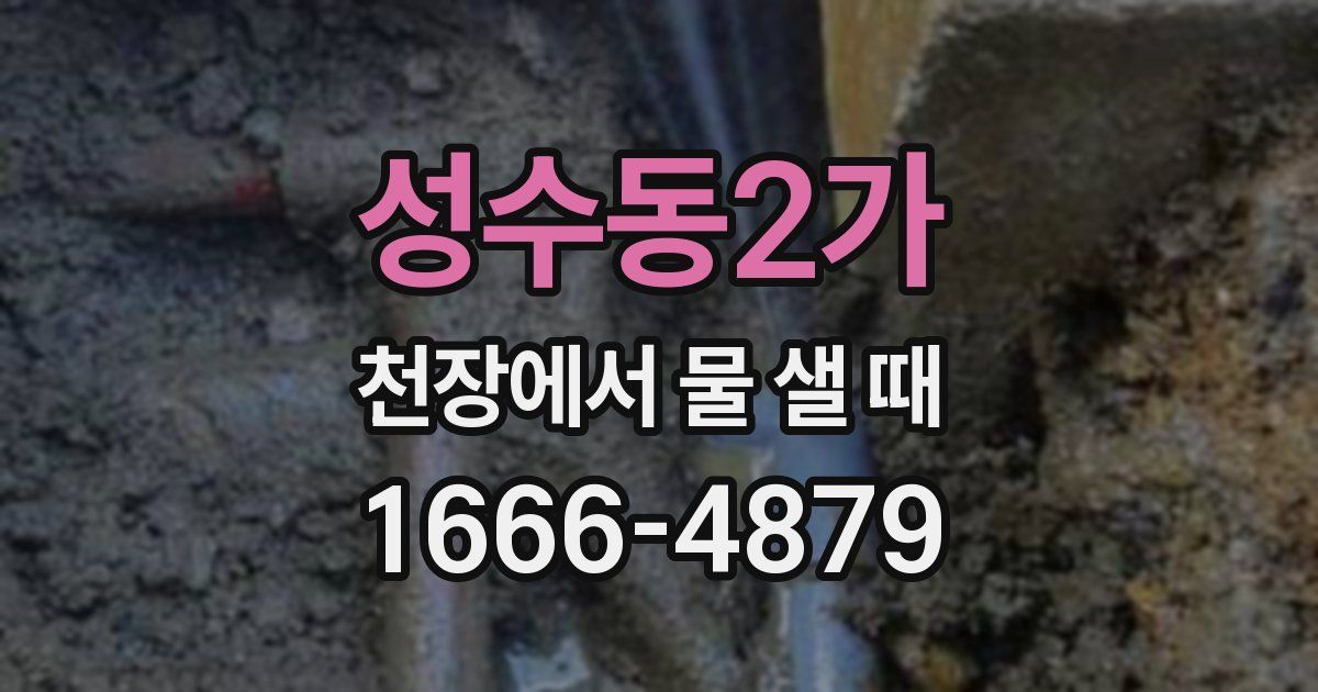 성수동2가 천장에서 물 샐 때
