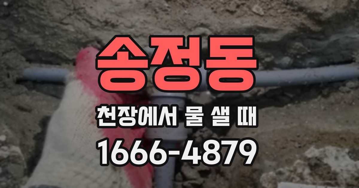 송정동 천장에서 물 샐 때