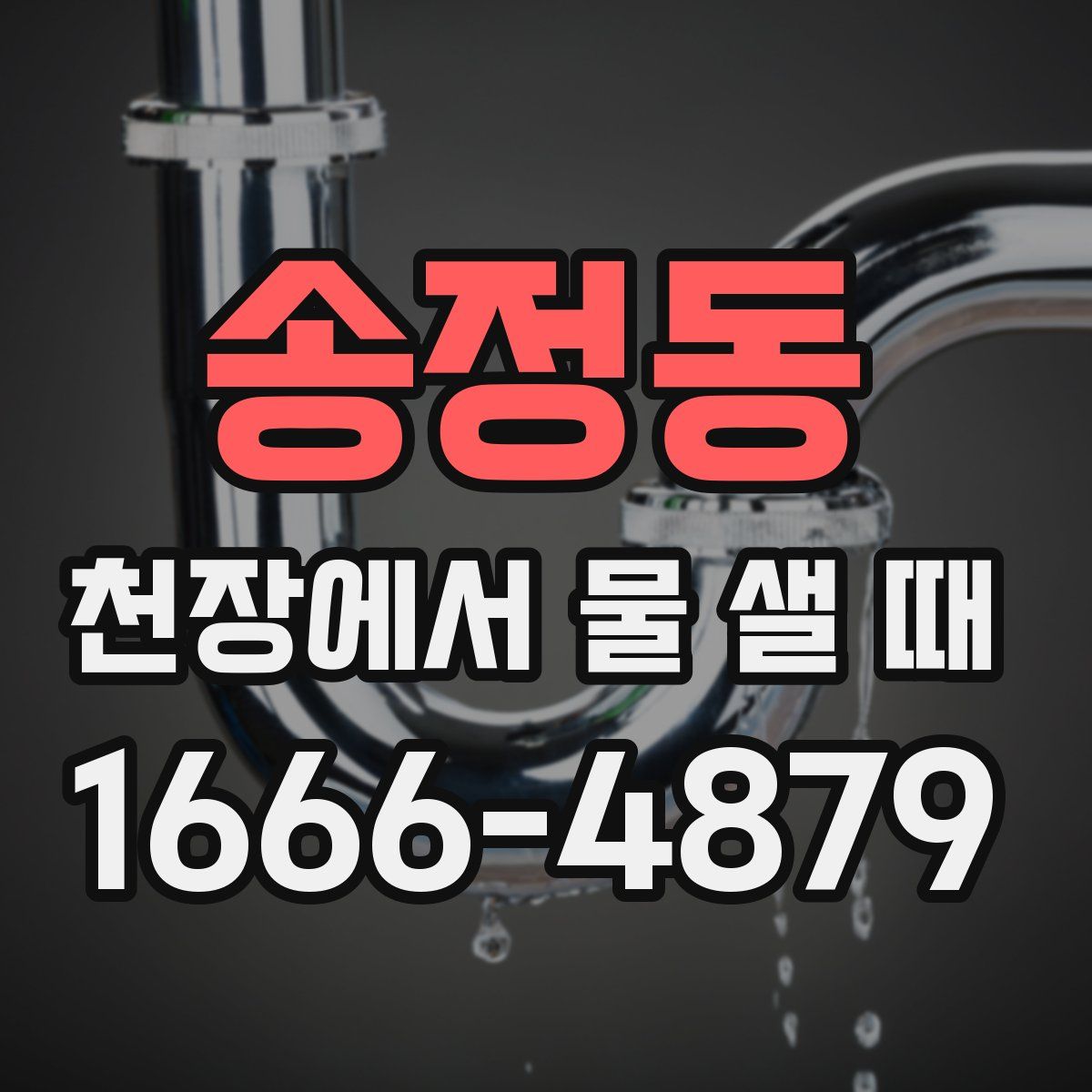 송정동 천장에서 물 샐 때