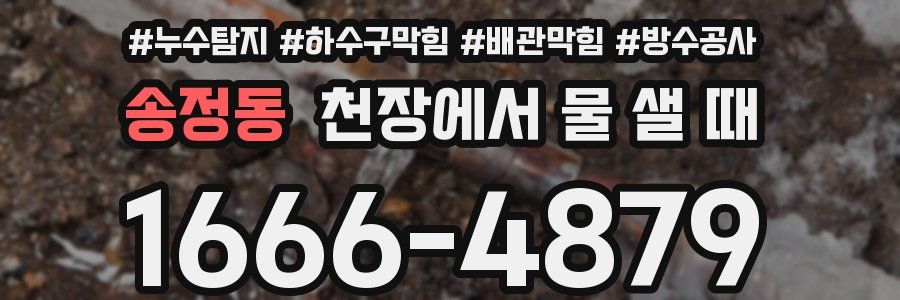 송정동 천장에서 물 샐 때