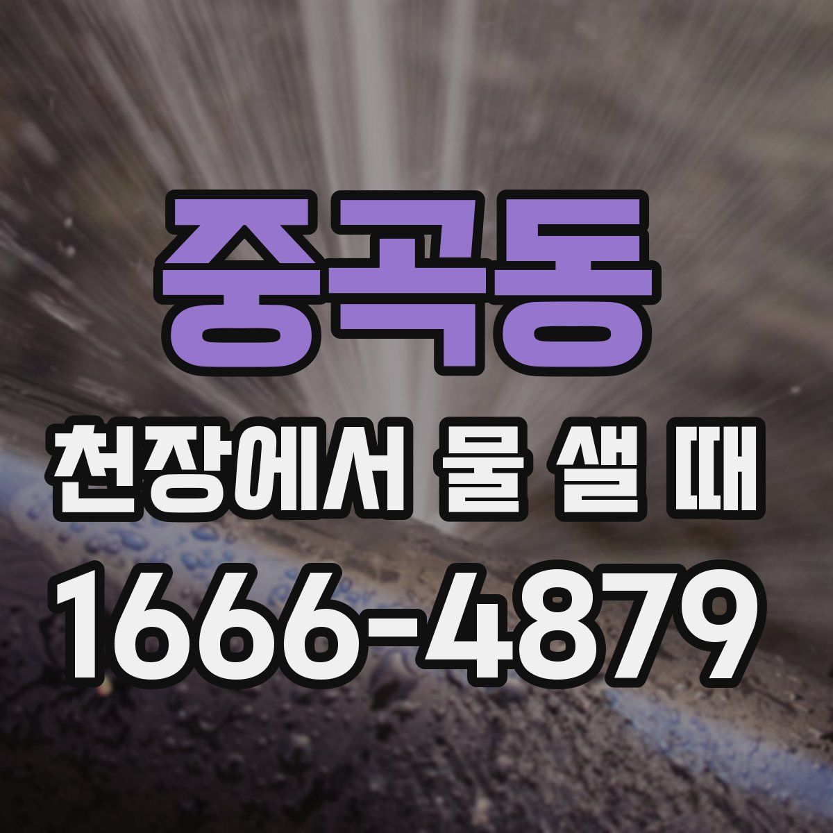 중곡동 천장에서 물 샐 때