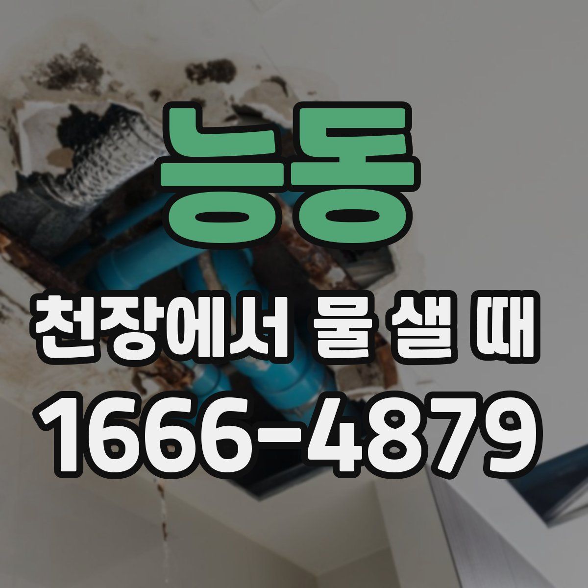 능동 천장에서 물 샐 때