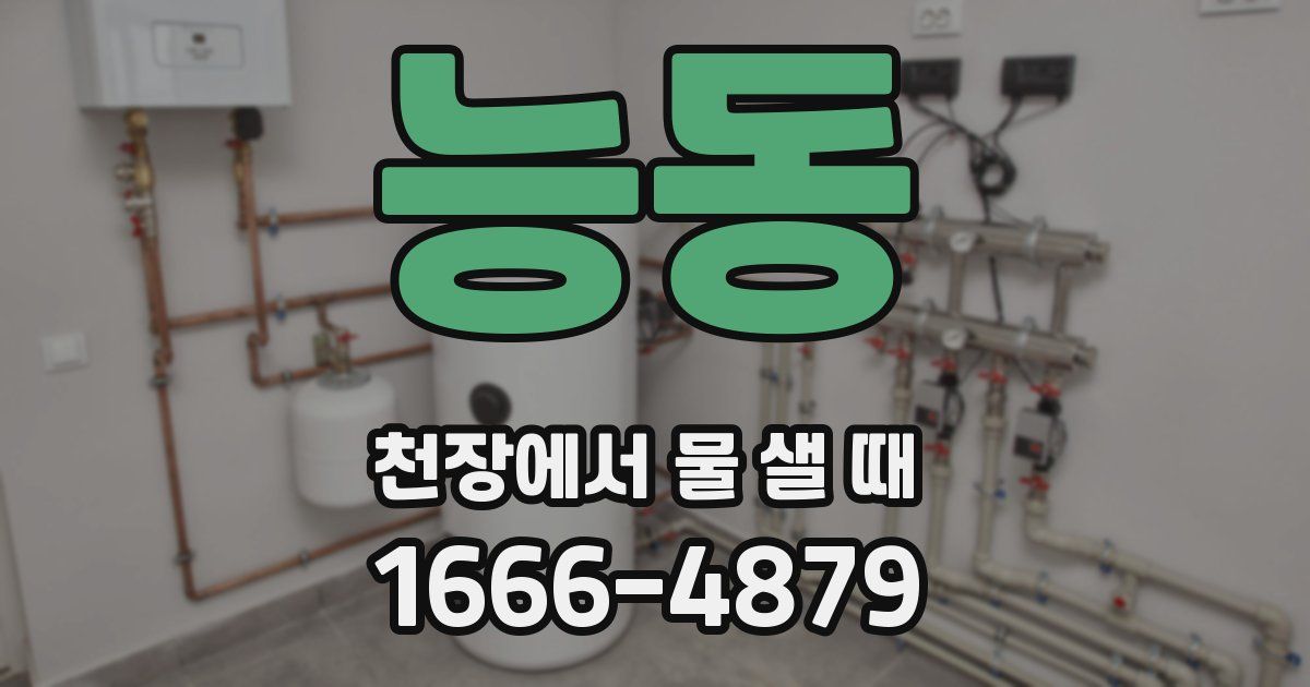 능동 천장에서 물 샐 때