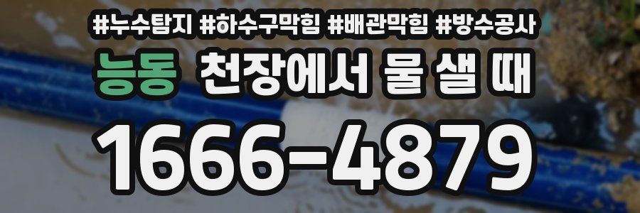 능동 천장에서 물 샐 때