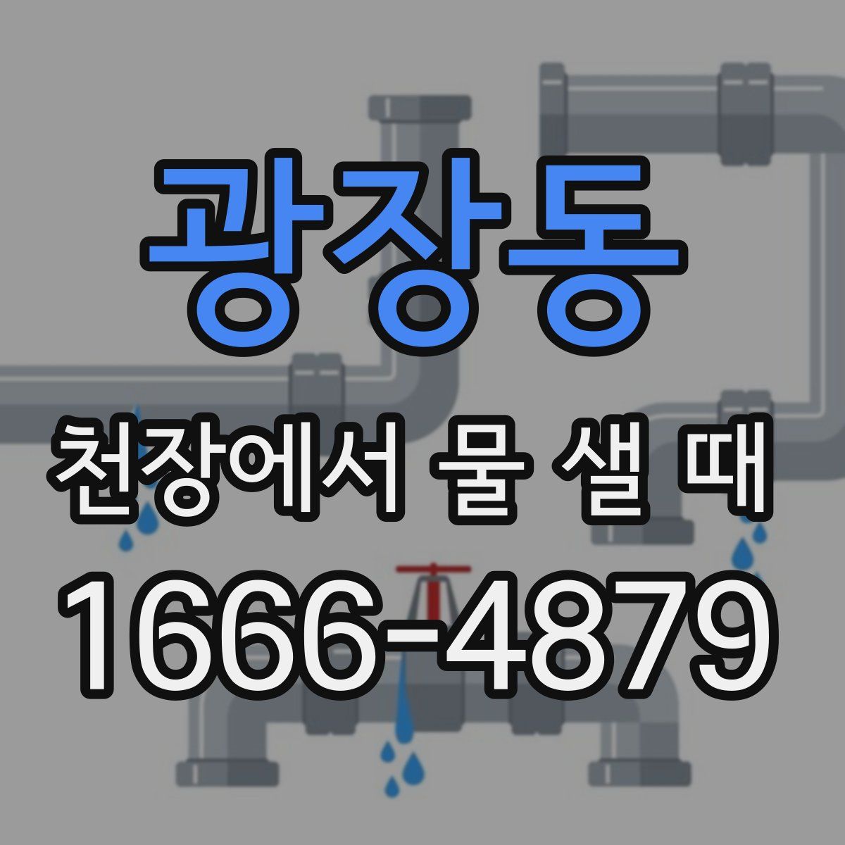 광장동 천장에서 물 샐 때