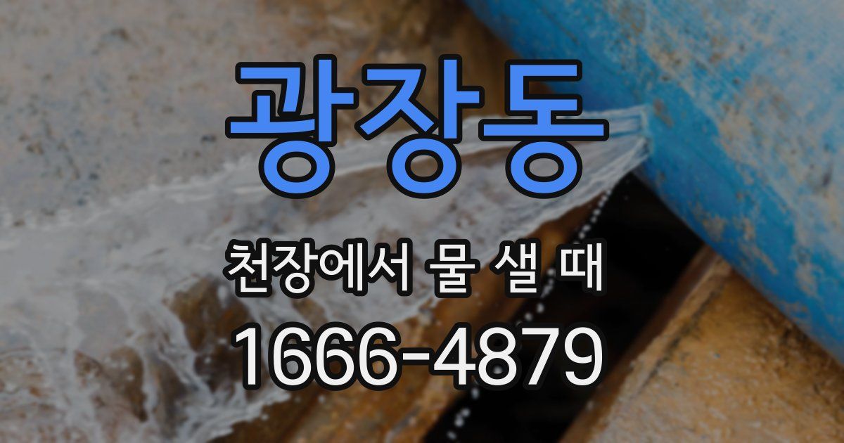 광장동 천장에서 물 샐 때
