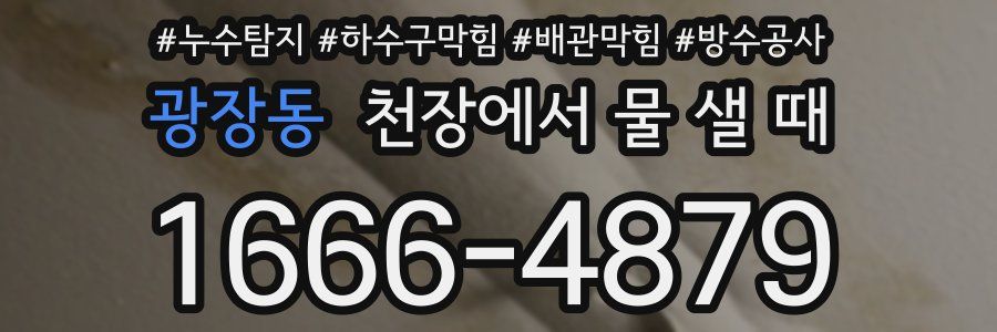 광장동 천장에서 물 샐 때