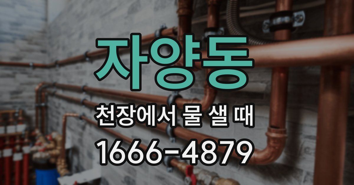 자양동 천장에서 물 샐 때