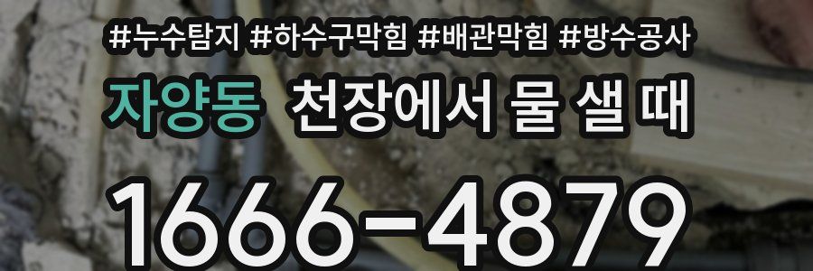 자양동 천장에서 물 샐 때