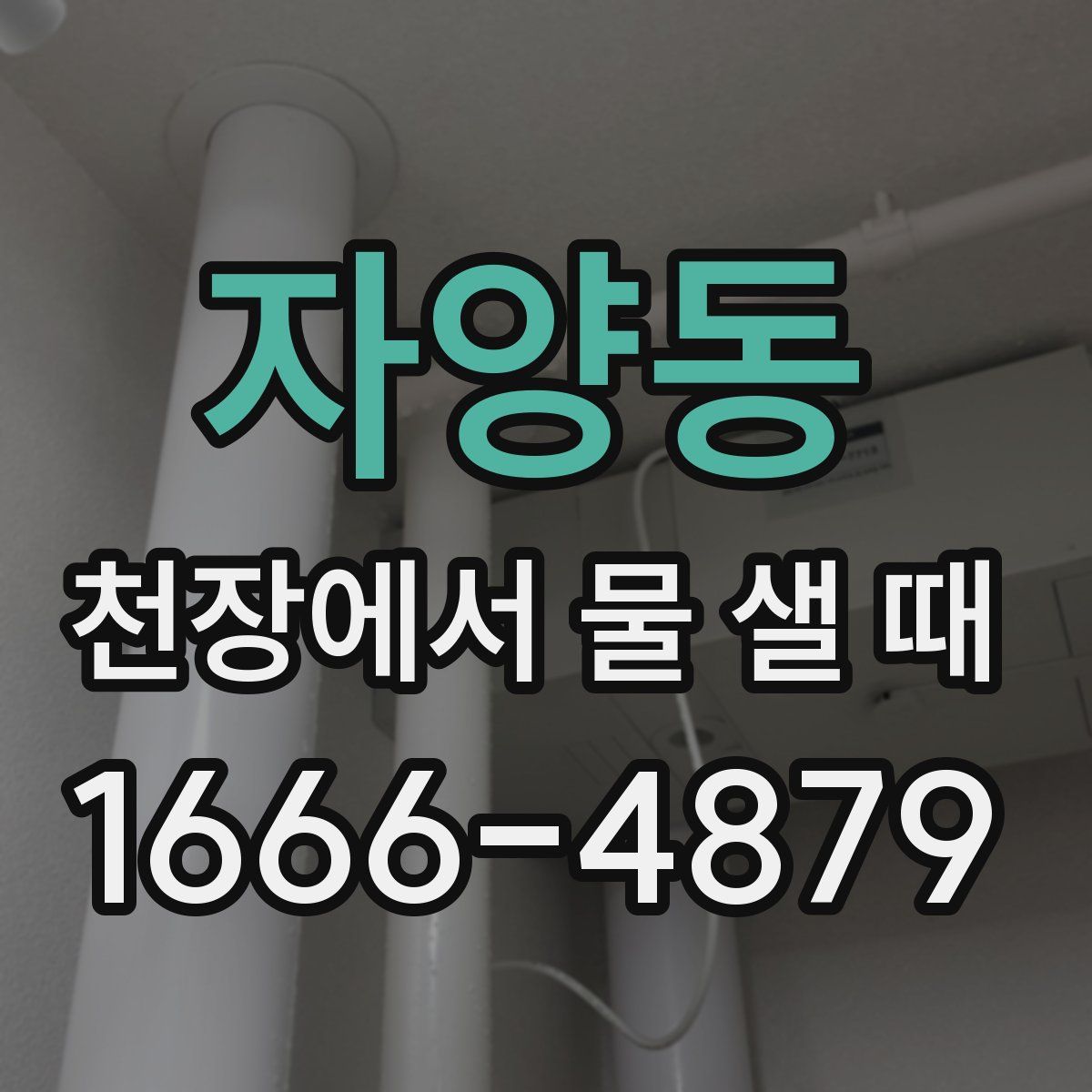 자양동 천장에서 물 샐 때