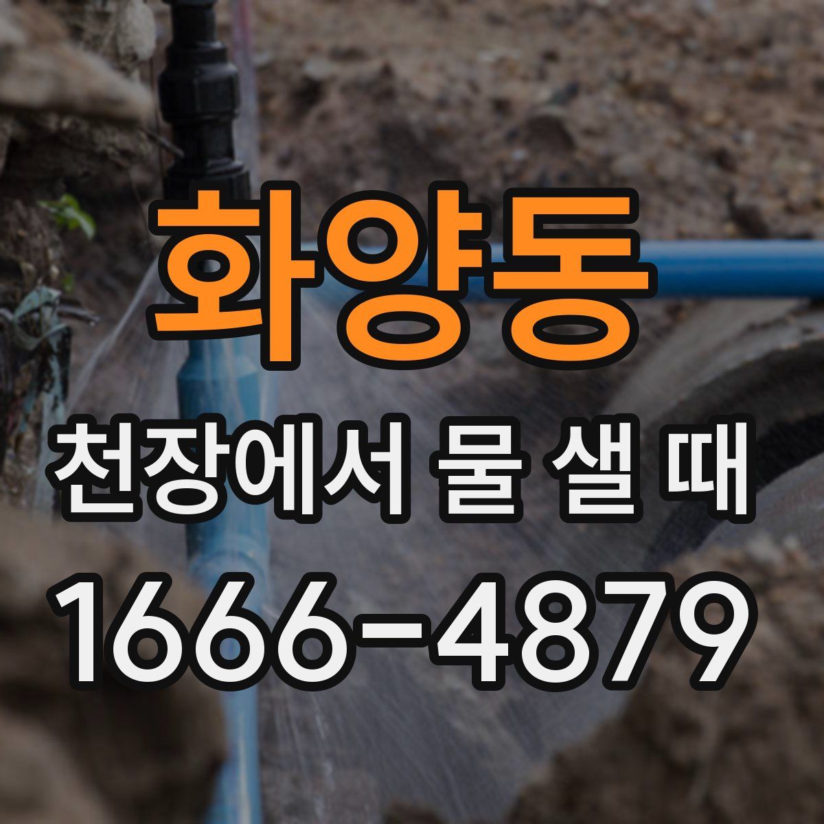 화양동 천장에서 물 샐 때