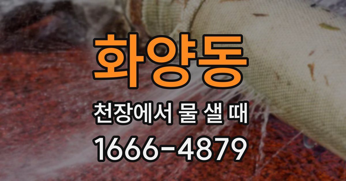 화양동 천장에서 물 샐 때