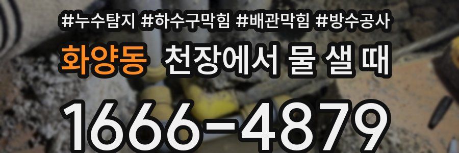 화양동 천장에서 물 샐 때