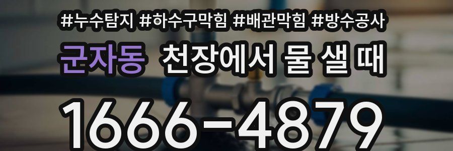 군자동 천장에서 물 샐 때