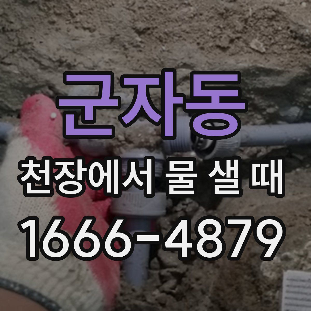 군자동 천장에서 물 샐 때