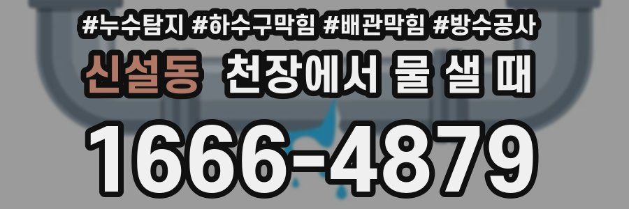 신설동 천장에서 물 샐 때
