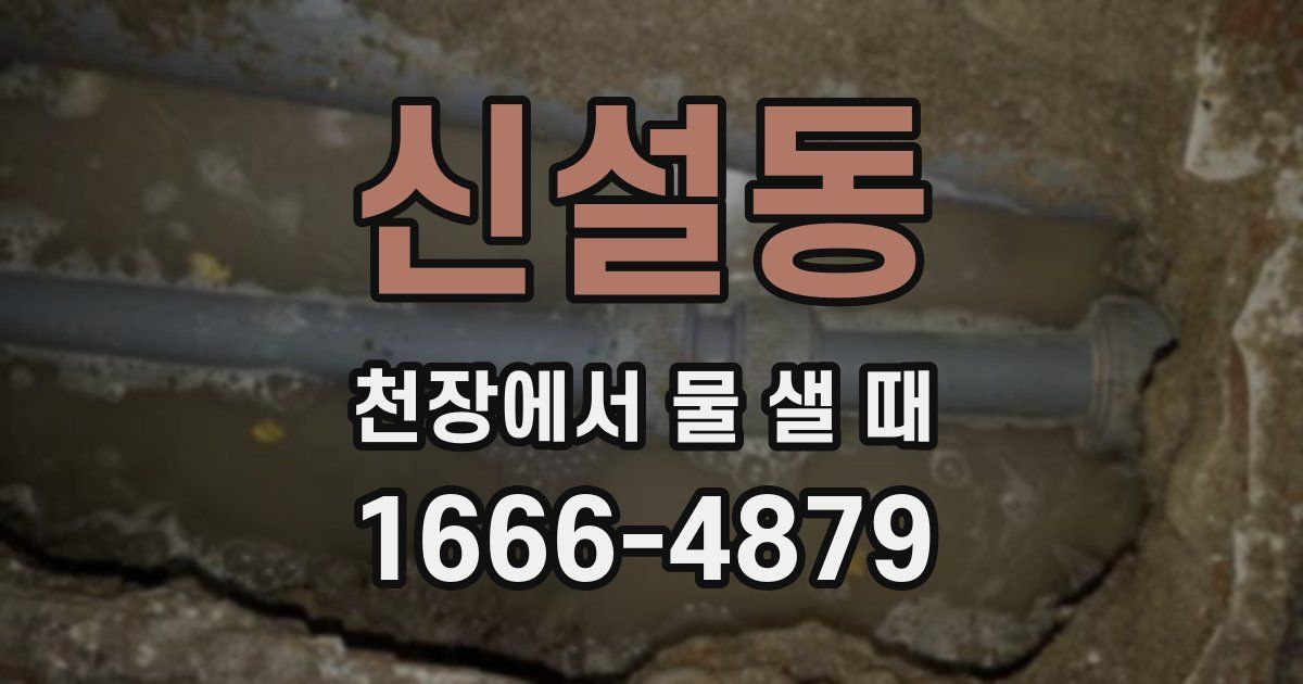 신설동 천장에서 물 샐 때