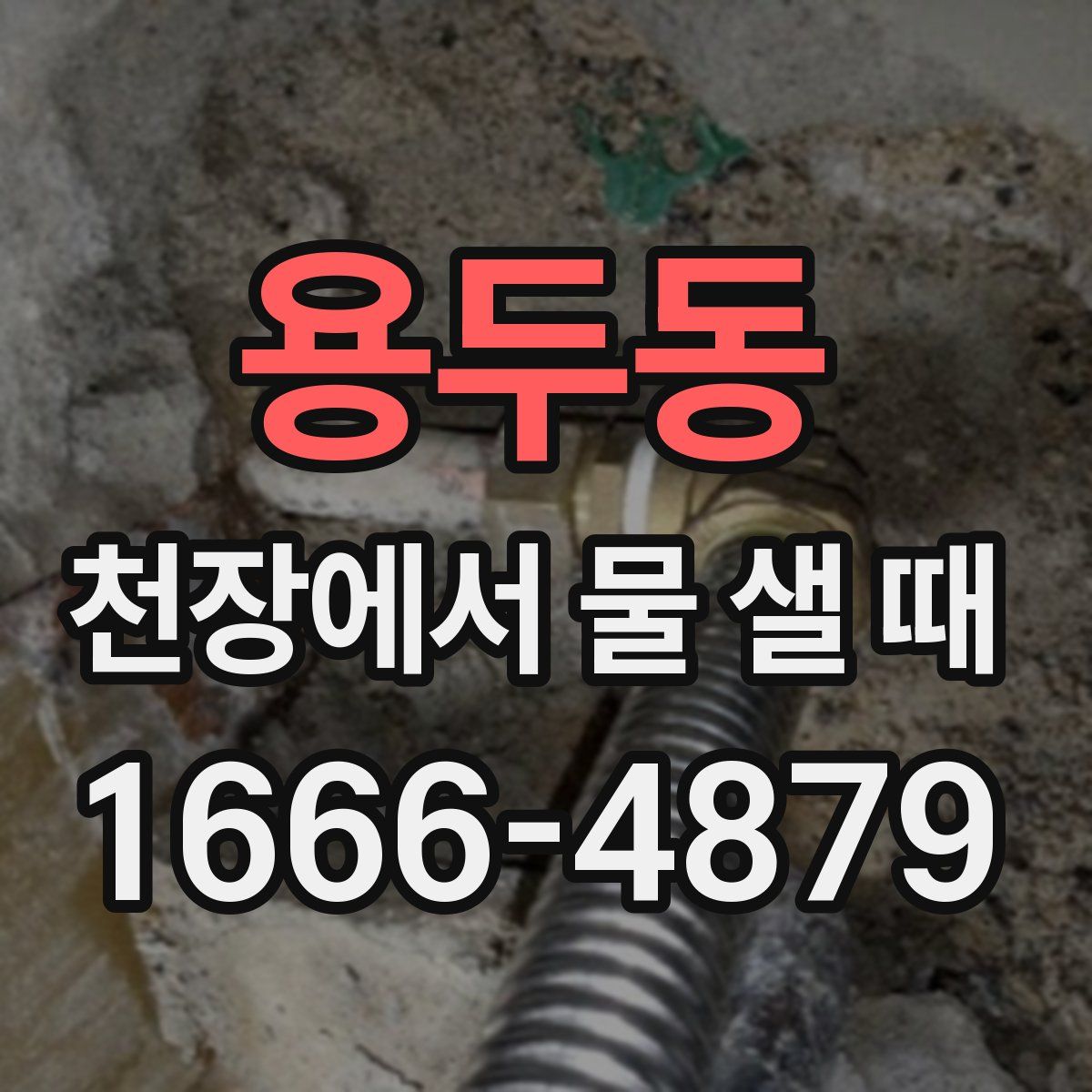 용두동 천장에서 물 샐 때