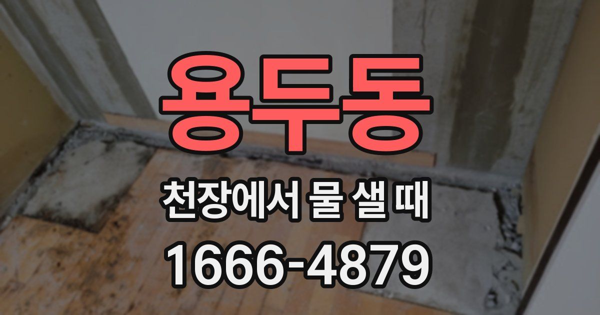 용두동 천장에서 물 샐 때