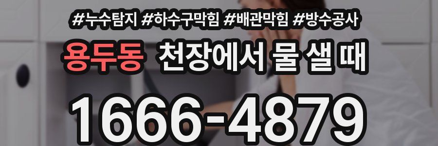 용두동 천장에서 물 샐 때