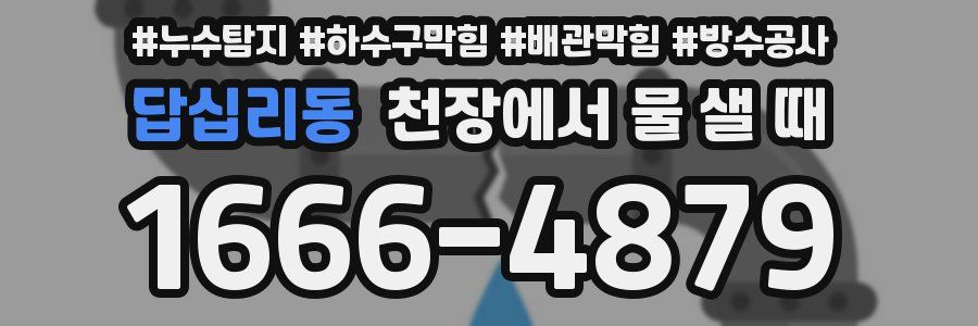 답십리동 천장에서 물 샐 때