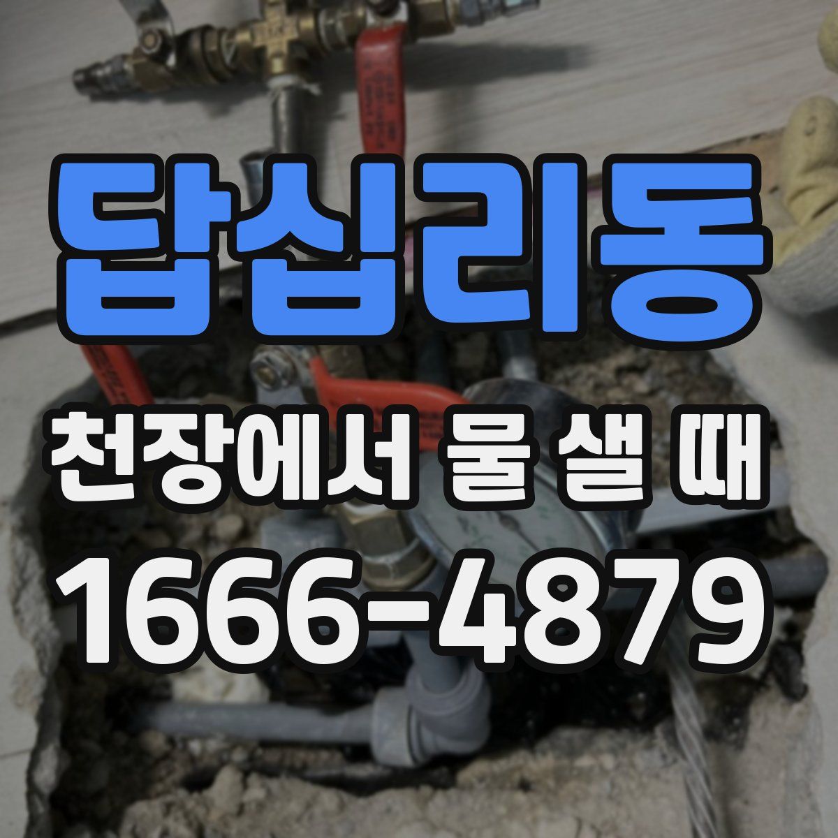 답십리동 천장에서 물 샐 때