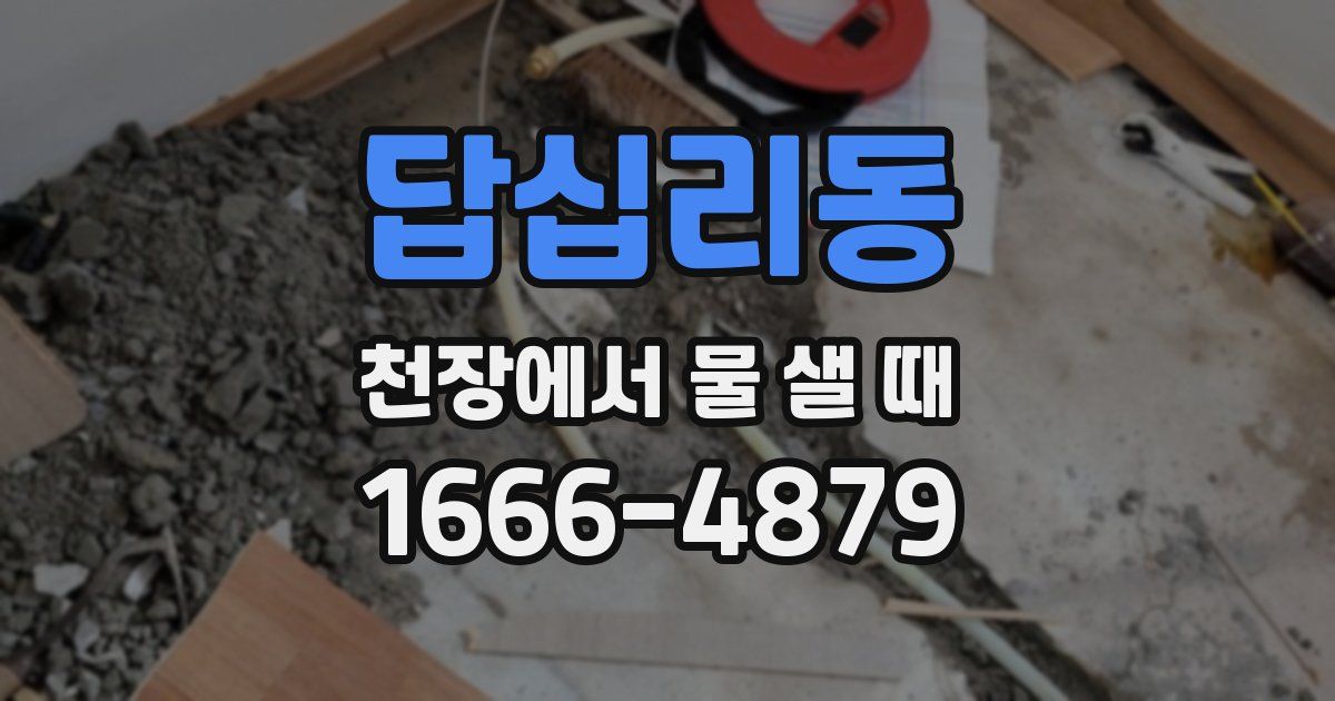 답십리동 천장에서 물 샐 때
