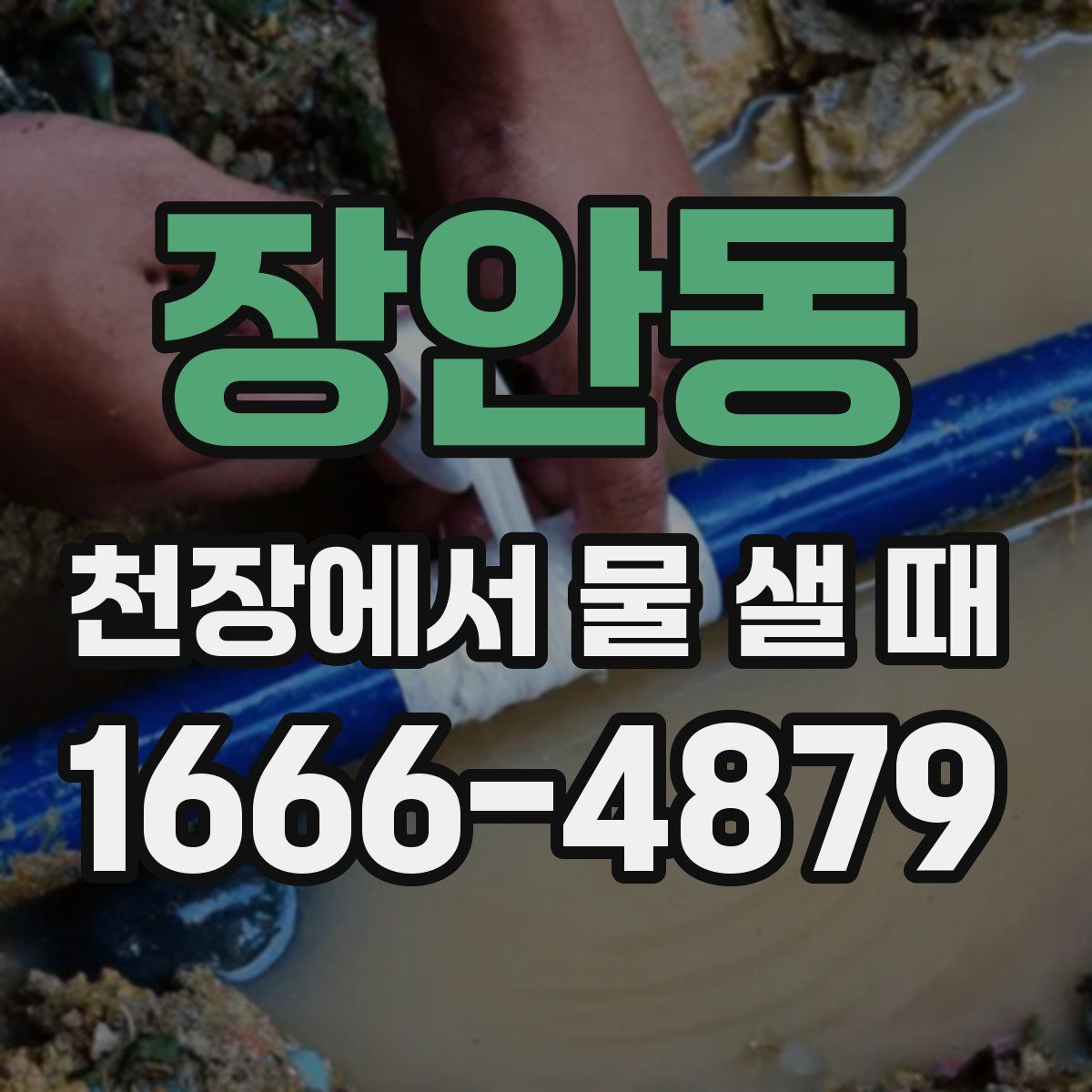 장안동 천장에서 물 샐 때