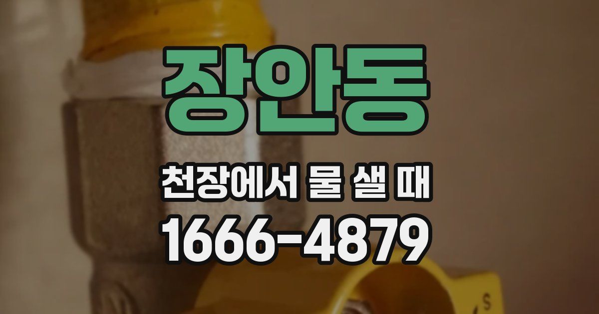 장안동 천장에서 물 샐 때