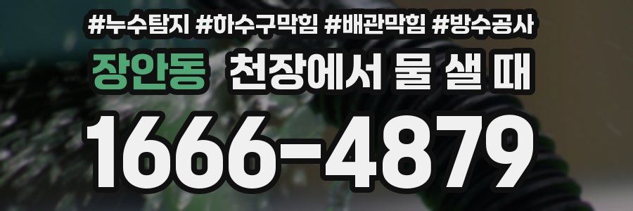 장안동 천장에서 물 샐 때