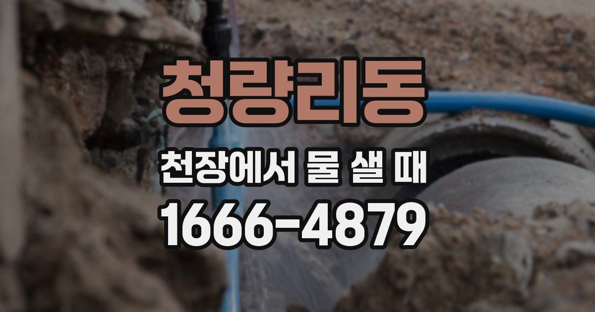청량리동 천장에서 물 샐 때