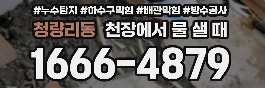 청량리동 천장에서 물 샐 때