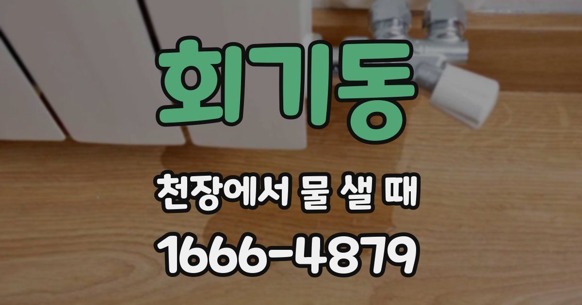 회기동 천장에서 물 샐 때