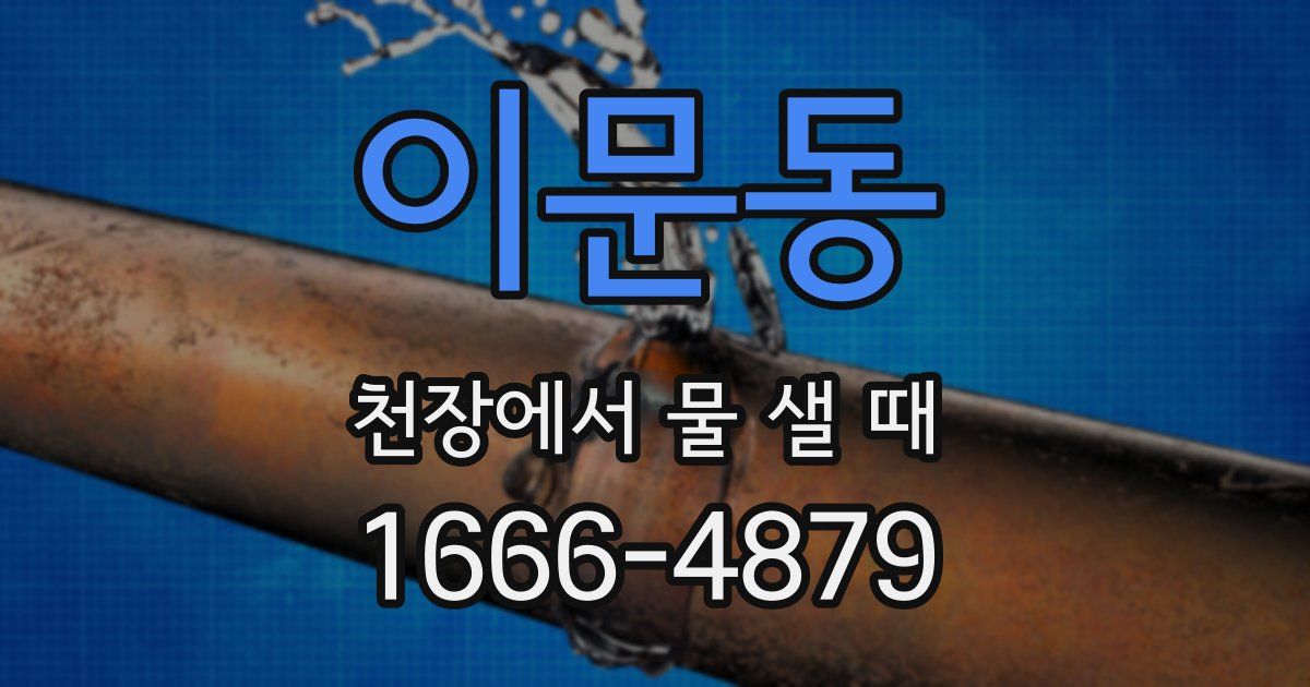 이문동 천장에서 물 샐 때