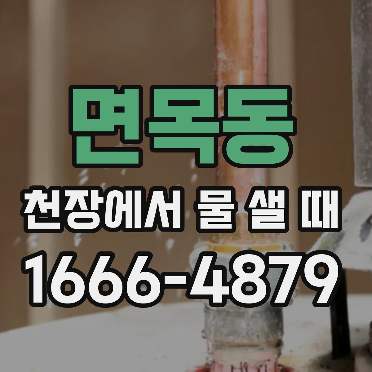 면목동 천장에서 물 샐 때