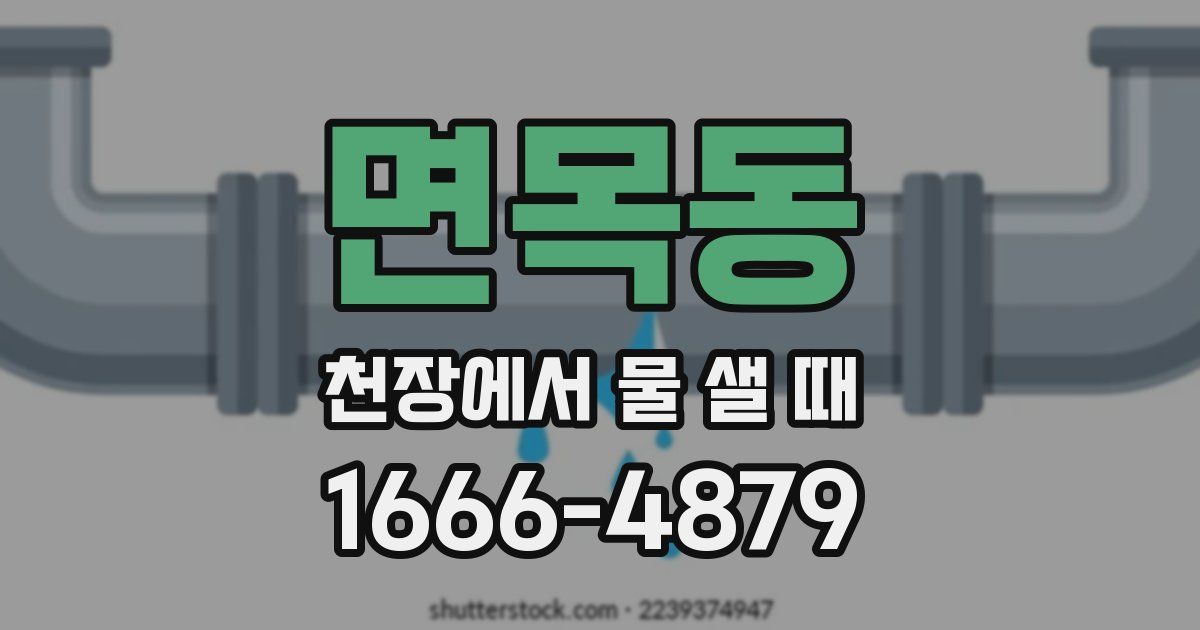면목동 천장에서 물 샐 때