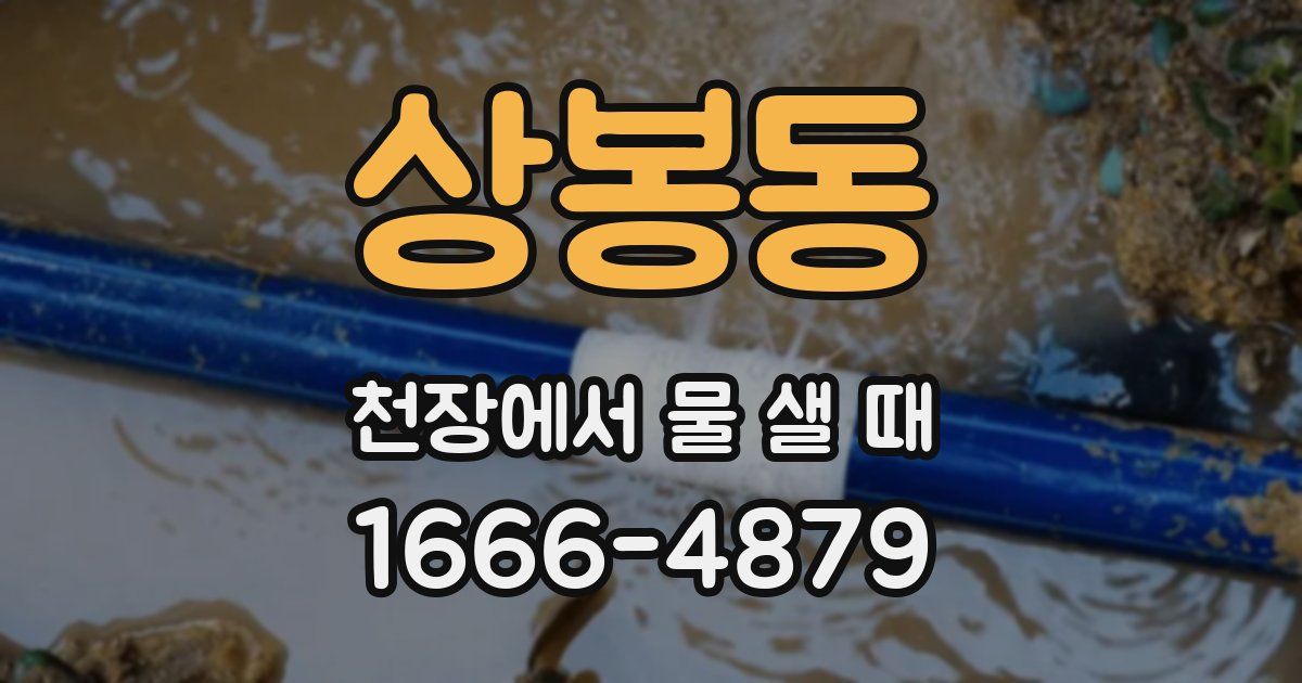상봉동 천장에서 물 샐 때