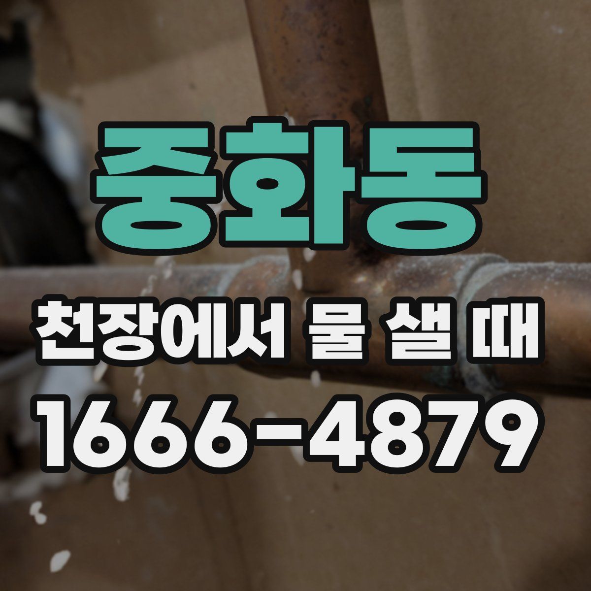 중화동 천장에서 물 샐 때