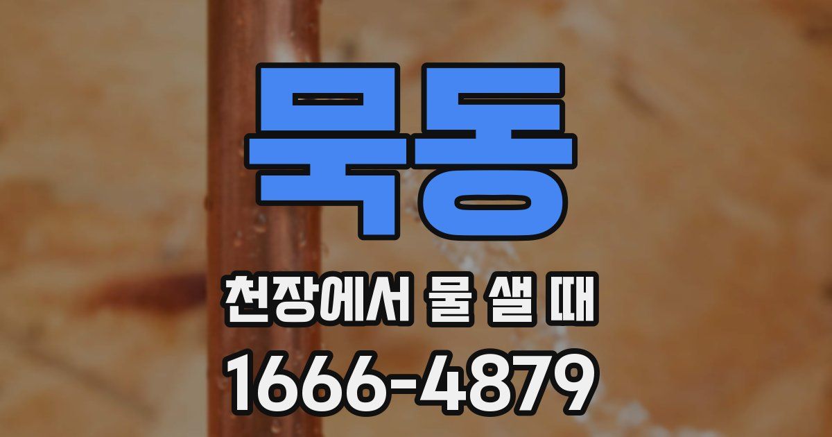묵동 천장에서 물 샐 때