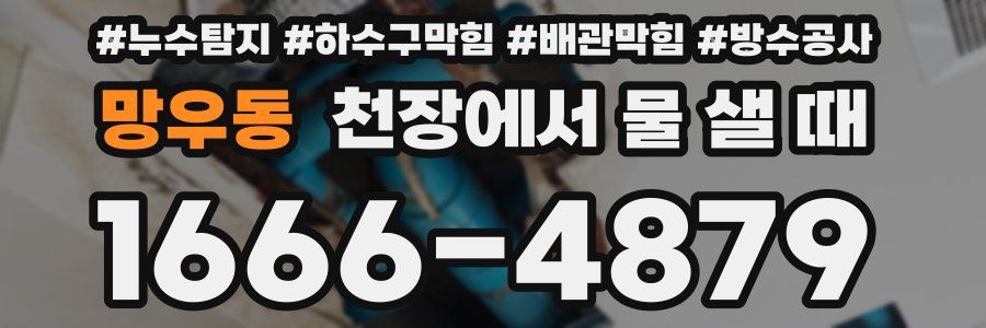 망우동 천장에서 물 샐 때
