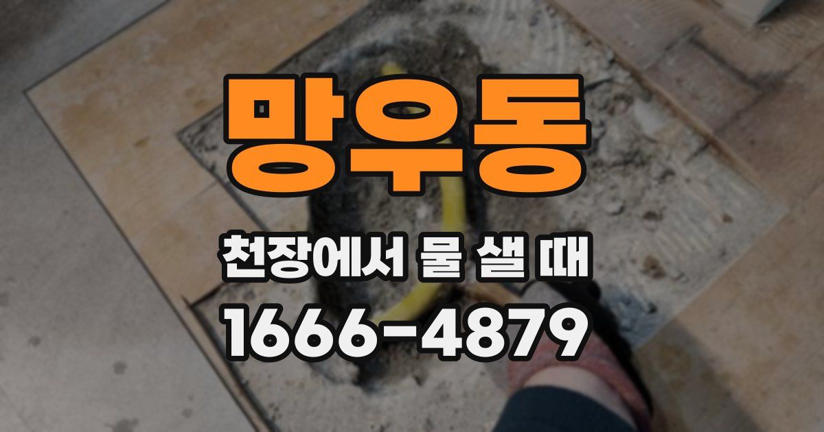 망우동 천장에서 물 샐 때