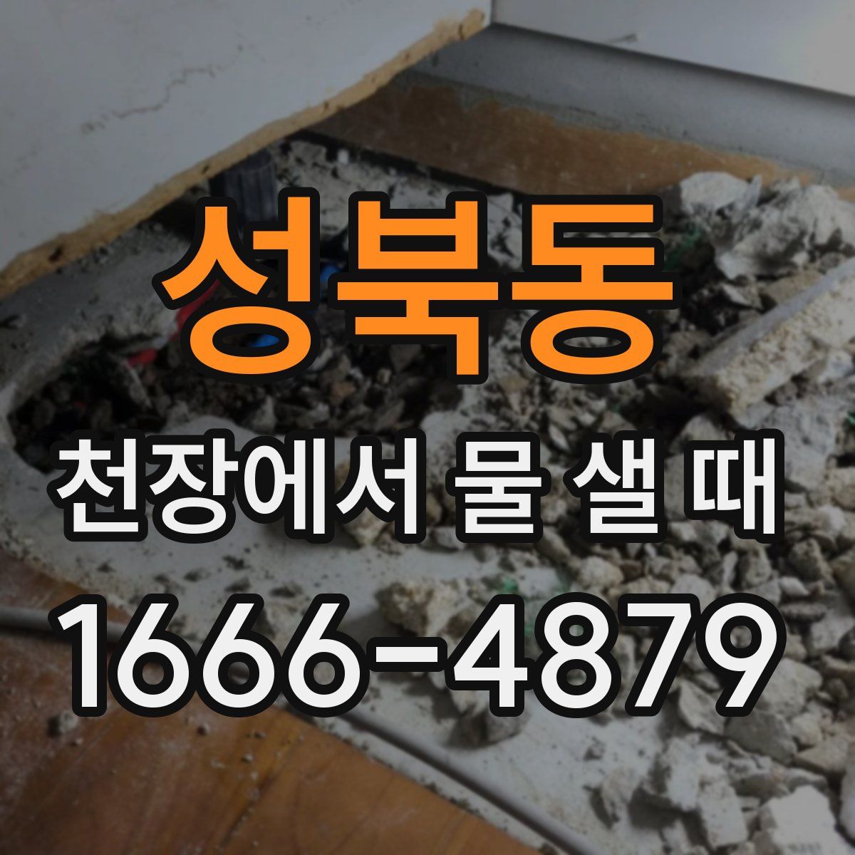 성북동 천장에서 물 샐 때