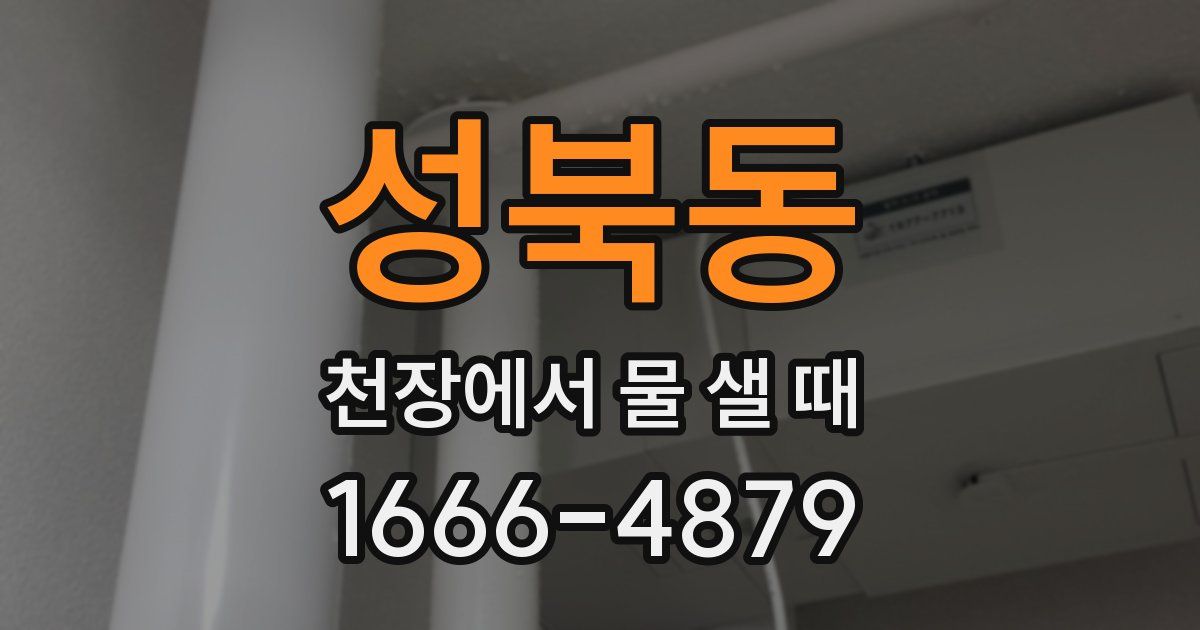 성북동 천장에서 물 샐 때