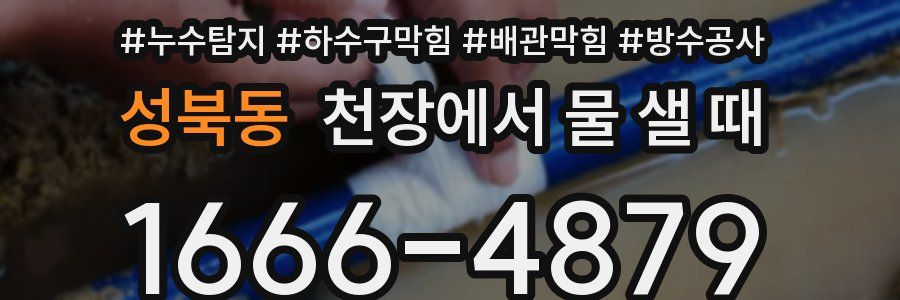 성북동 천장에서 물 샐 때