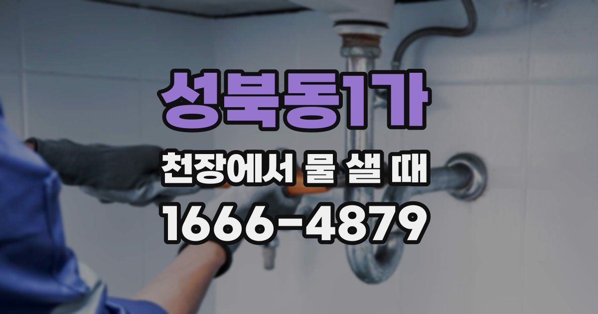 성북동1가 천장에서 물 샐 때