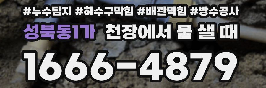성북동1가 천장에서 물 샐 때