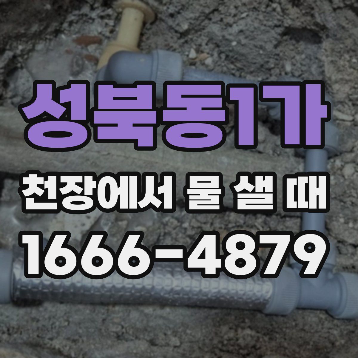 성북동1가 천장에서 물 샐 때