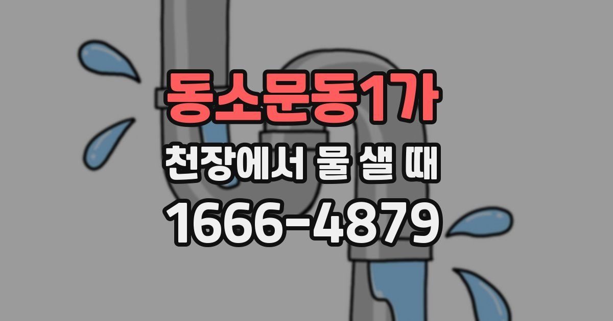 동소문동1가 천장에서 물 샐 때