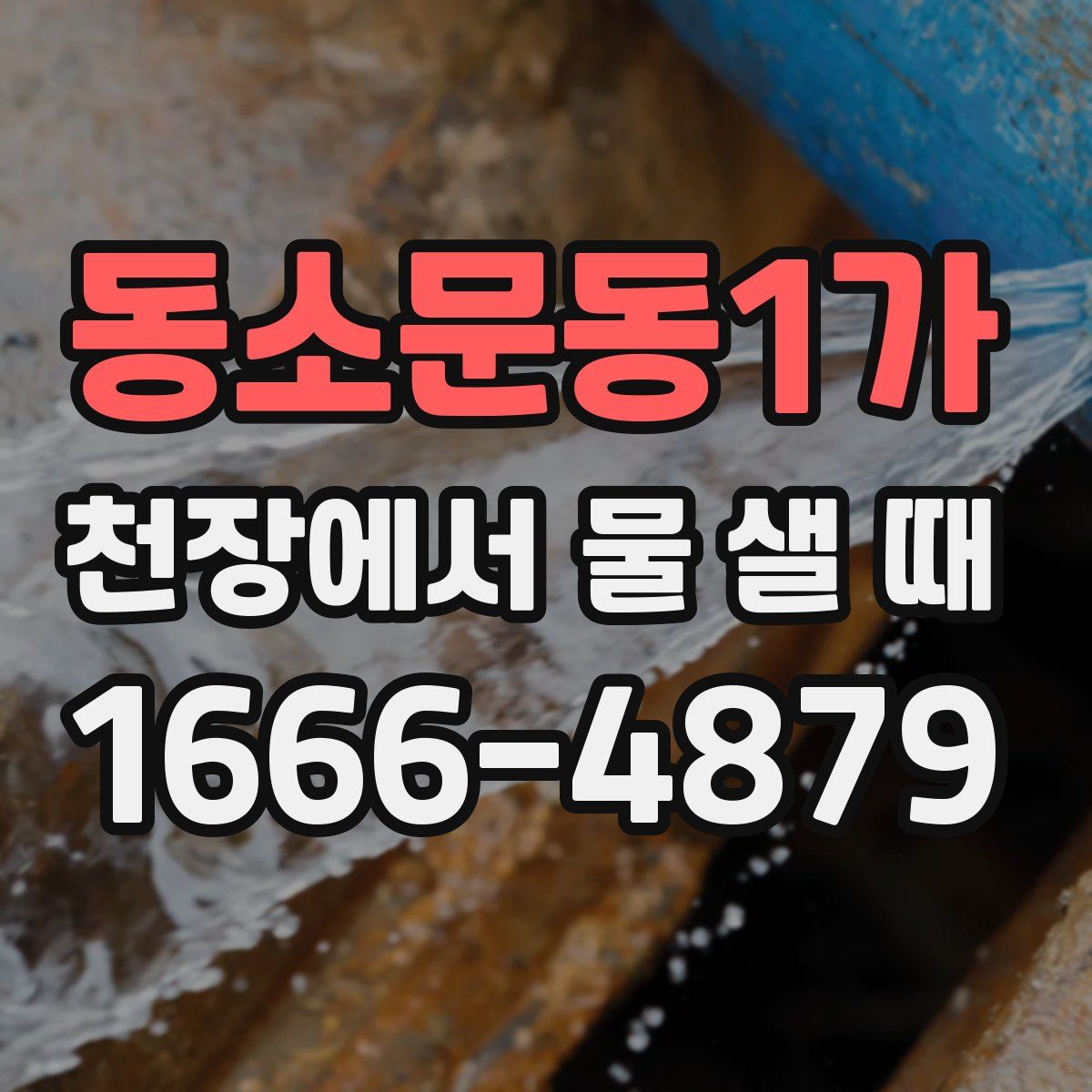 동소문동1가 천장에서 물 샐 때